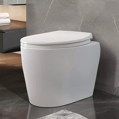 Quick Release Toilet Seat Soft Close